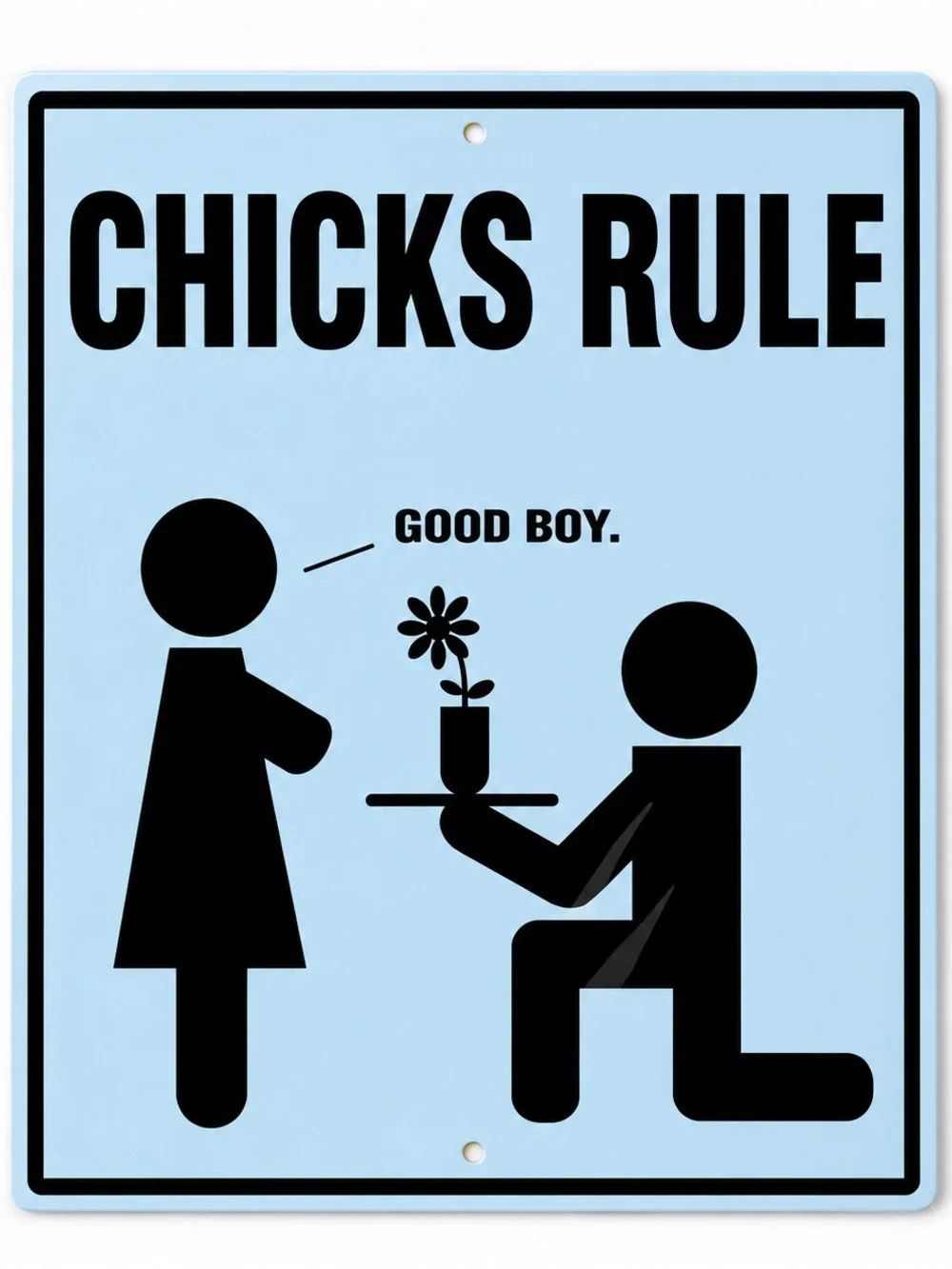 NEW Chicks Rule Metal Sign